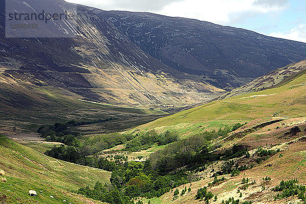 Glen Roy  Highland  Schottland.