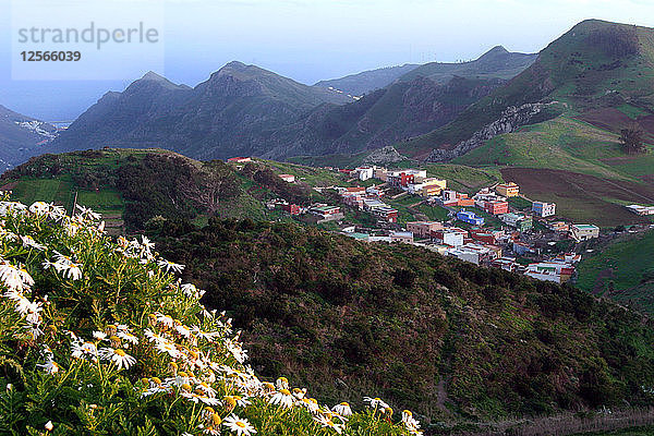 Anaga-Gebirge  Teneriffa  2007.