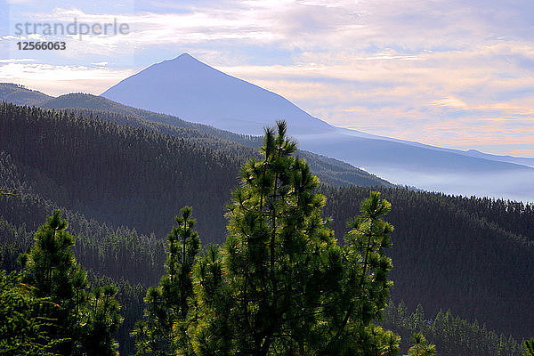 Mount Teide  Vulkan auf Teneriffa  Kanarische Inseln  2007.