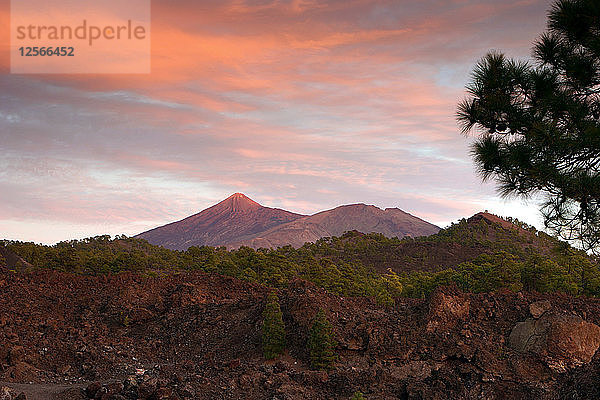 Mount Teide  Vulkan auf Teneriffa  Kanarische Inseln  2007.