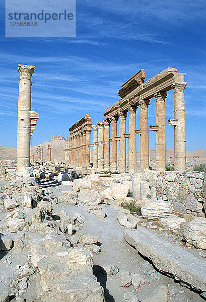 Upper Colonnade Street  Palmyra  Syrien.