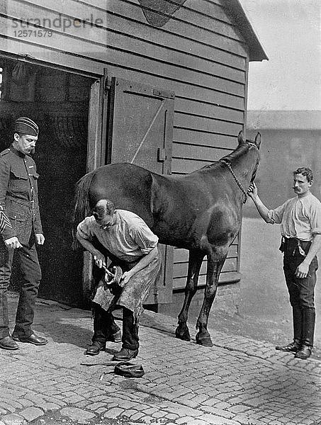 Der Hufschmied-Major der Royal Horse Guard  1896 Künstler: Gregory & Co