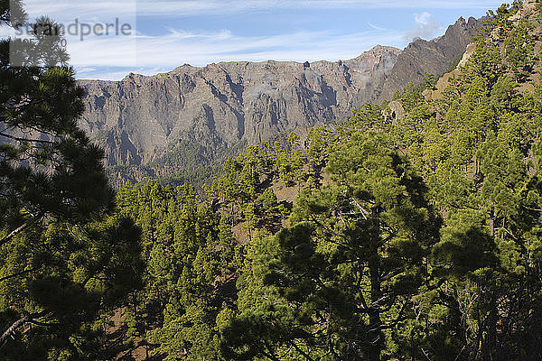 Parque Nacional de la Caldera de Taburiente  La Palma  Kanarische Inseln  Spanien  2009.