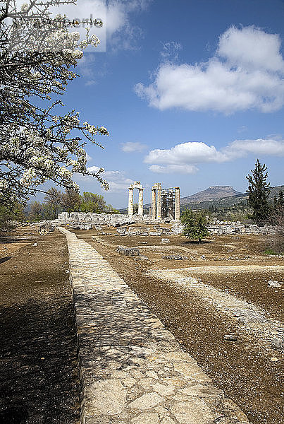 Der Tempel des Zeus in Nemea  Griechenland. Künstler: Samuel Magal