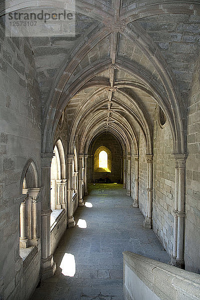 Ein Saal mit gotischen Gewölben in der Kathedrale von Evora  Portugal  2009. Künstler: Samuel Magal