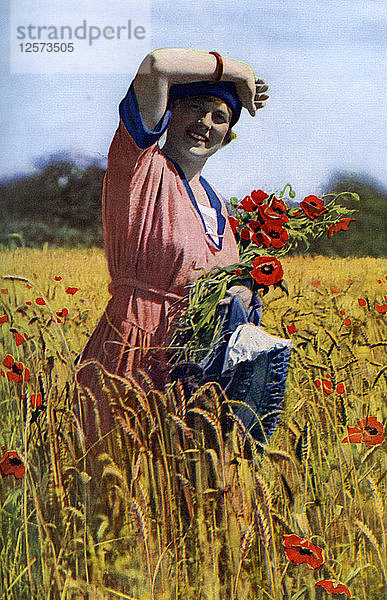 Die Englische Rose  um 1922. Künstler: Horace Walter Nicholls