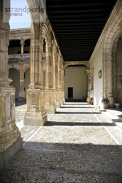 Avellaneda-Palast  Penaranda de Duero  Spanien  2007. Künstler: Samuel Magal