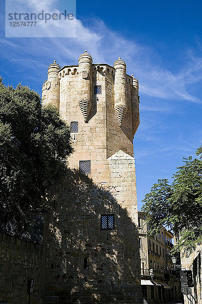 Clavero-Turm  Palast von Sotomayor  Salamanca  Spanien  2007. Künstler: Samuel Magal