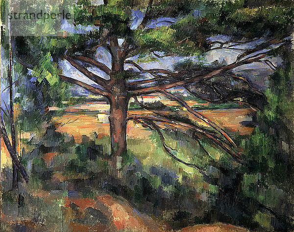 Ein großer Tannenbaum bei Aix  1895-1897. Künstler: Paul Cezanne