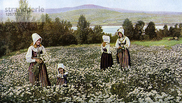 Blumenpflücken auf einer Wiese bei Leksand  Schweden  um 1923. Künstler: Unbekannt