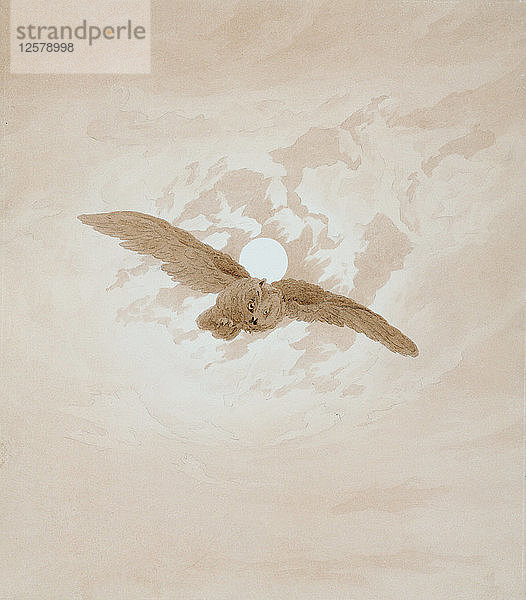 Eule im Flug vor mondbeschienenem Himmel  1836-1837. Künstler: Caspar David Friedrich