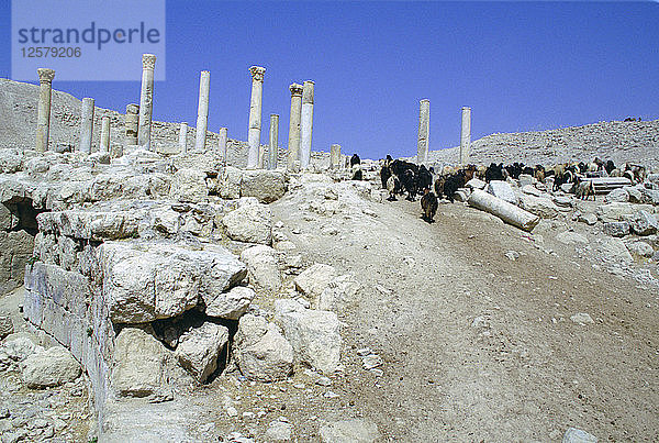 Ruinen der antiken Stadt Pella  Jordanien.