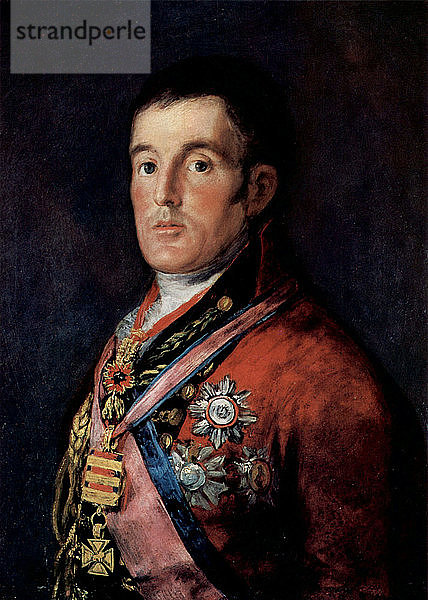 Porträt von Feldmarschall Arthur Wellesley  1. Duke of Wellington  um 1814. Künstler: Francisco Goya