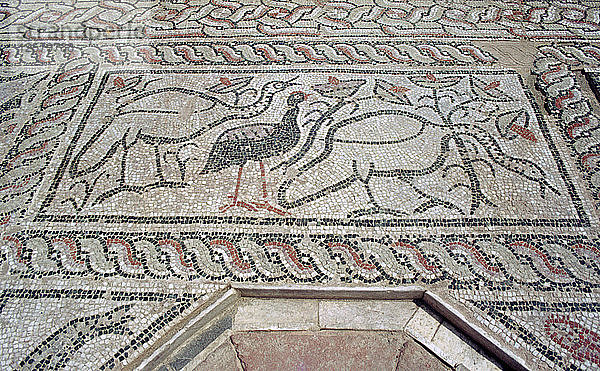 Mosaik  Ruinen der römischen Stadt Stobi  Gradsko  Mazedonien.