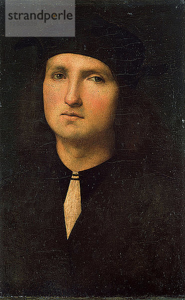 Porträt eines jungen Mannes  zwischen 1495 und 1500. Künstler: Perugino