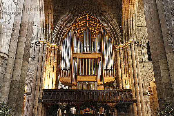 Orgel  Hexham Abbey  Northumberland  2010.