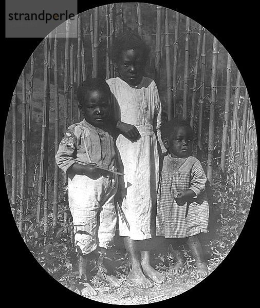 Kinder in der Nähe von Petrópolis  Brasilien  Ende des 19. oder Anfang des 20. Jahrhunderts. Künstler: Unbekannt