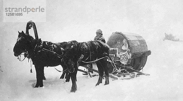 Von Pferden gezogener Schlitten (Kibitka)  Sibirien  Russland  1890er Jahre. Künstler: Unbekannt