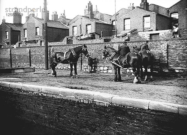 Pferde  die zum Ziehen benutzt werden  ruhen am Rande eines Kanals  London  um 1905. Künstler: Unbekannt