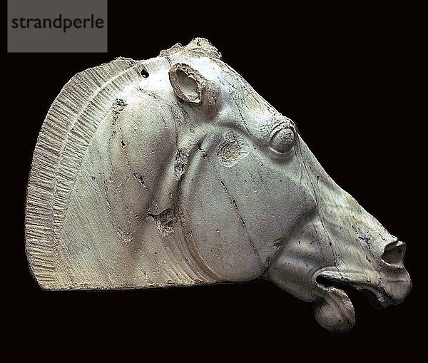 Pferd der Selene aus dem Parthenon. Künstler: Unbekannt