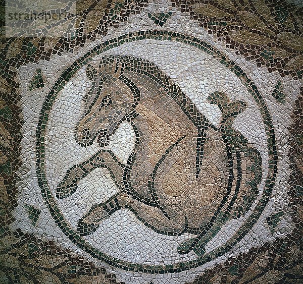 Detail eines römischen Mosaiks  das den Kopf eines Pferdes zeigt  4. Jahrhundert. Künstler: Unbekannt