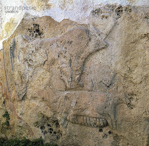 Relief einer Sau mit Ferkeln aus Malta. Künstler: Unbekannt