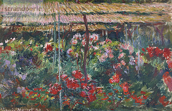 Pfingstrosengarten  1887. Künstler: Monet  Claude (1840-1926)