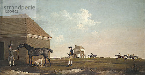 Gimcrack auf der Newmarket Heath  mit einem Trainer  einem Stallburschen und einem Jockey  1765. Künstler: Stubbs  George (1724-1806)