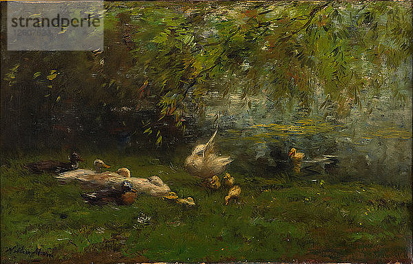 Entenhimmel. Künstler: Maris  Willem (1844-1910)