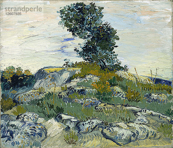 Die Felsen  1888. Künstler: Gogh  Vincent  van (1853-1890)