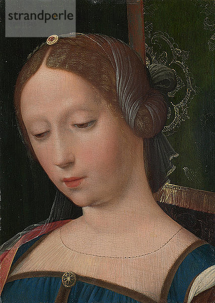 Ein weiblicher Kopf  Mitte des 16. Künstler: Meister der weiblichen Halblängen  (Werkstatt)