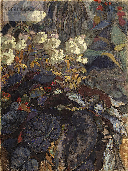 Blumen  1911. Künstler: Zaytsev  Nikolai Semyonovich (1885-1938)