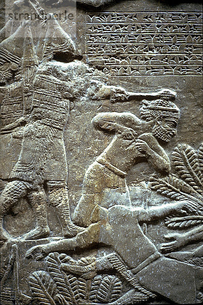 Aschurbanipal in der Schlacht von Til-Tuba  650-620 v. Chr. Künstler: Assyrische Kunst