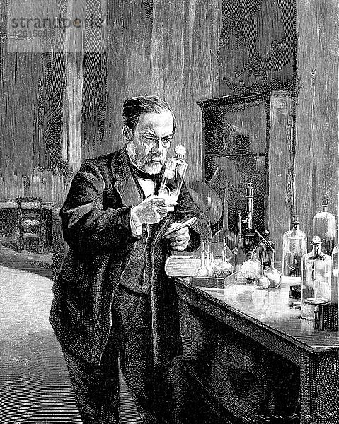 Französischer Chemiker und Mikrobiologe Louis Pasteur (1822?1895). Künstler: Anonym