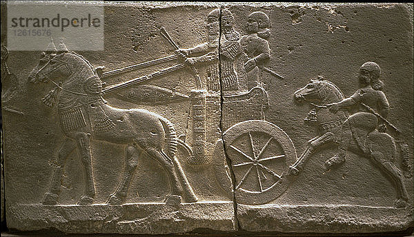 Wagen und Kavallerist  8. JH. V. CHR. Künstler: Assyrische Kunst