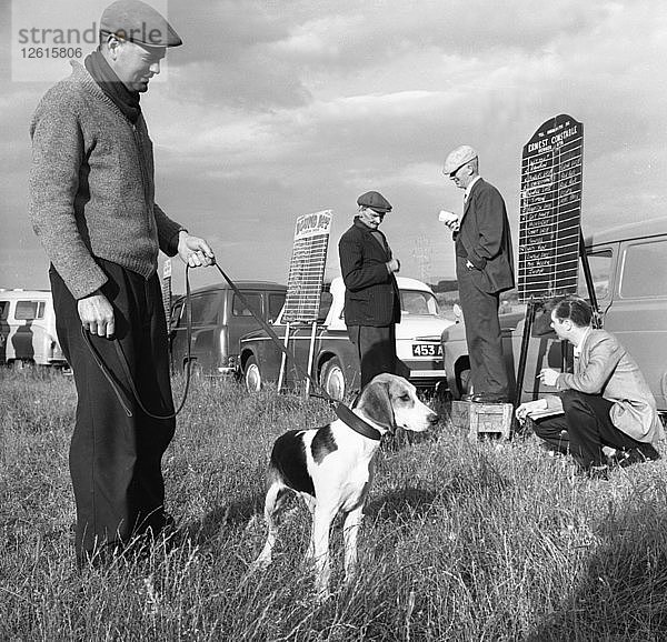 Hound Trailing  eine der ältesten und beliebtesten Sportarten in Cumbria  Keswick  2. Juli 1962. Künstler: Michael Walters