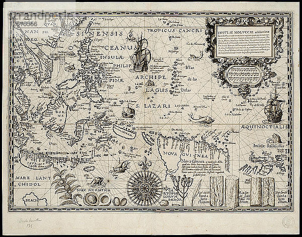 Insulae Moluccae celeberrimae sunt ob maximam aromatum copiam quam per totum terrarum orbem mittunt? Künstler: Plancius  Petrus (1552-1622)