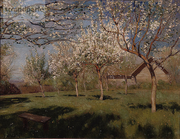 Blühende Apfelbäume. Künstler: Lewitan  Isaak Iljitsch (1860-1900)