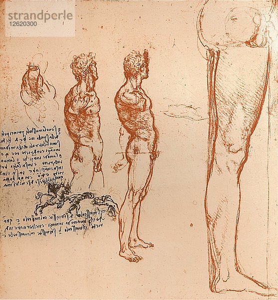 Zeichnungen  die die Bewegungen der menschlichen Figur und kämpfende Krieger zeigen  um 1472-c1519 (1883). Künstler: Leonardo da Vinci.