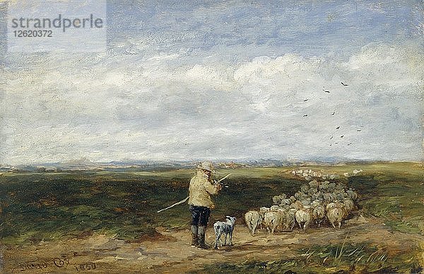 Der Hirte: Rückkehr der Herde  1850. Künstler: David Cox der Ältere.