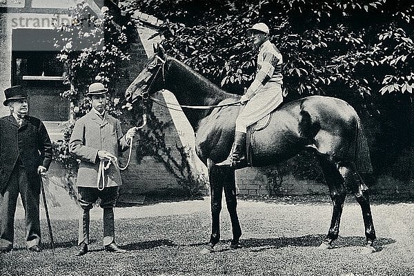 Vollblut-Rennpferd  Ladas  1894. Künstler: Unbekannt