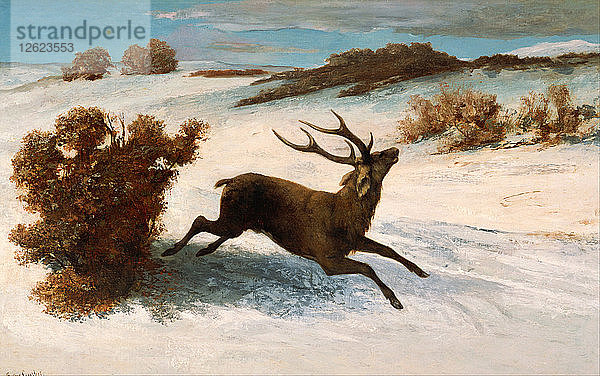 Rotwild im Schnee. Künstler: Courbet  Gustave (1819-1877)