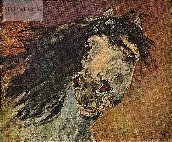 Tete De Cheval Andalou  um 1910. Künstler: Alfred Roll.