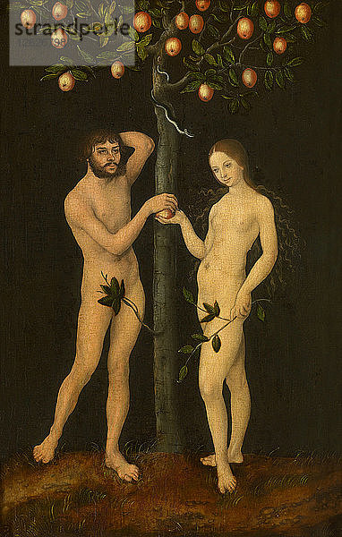 Adam und Eva. Künstler: Cranach  Lucas  der Ältere (1472-1553)