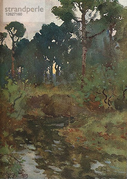 Dekorative Landschaftsstudie  um 1903 (1903-1904). Künstler: Reginald Jones.