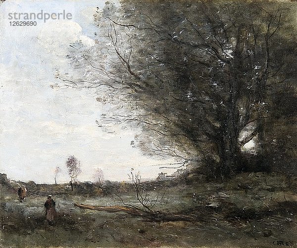Die Buche  1816-1875. Künstler: Jean-Baptiste-Camille Corot.