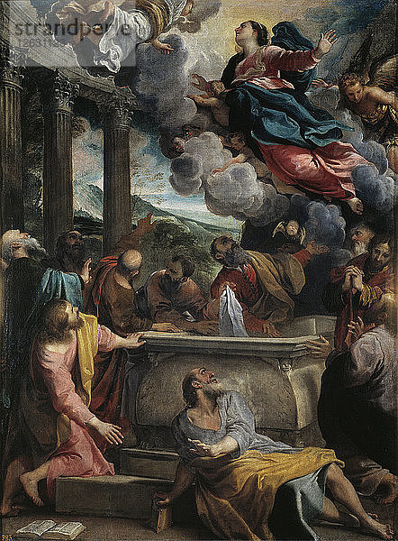Die Himmelfahrt der seligen Jungfrau Maria. Künstler: Carracci  Annibale (1560-1609)