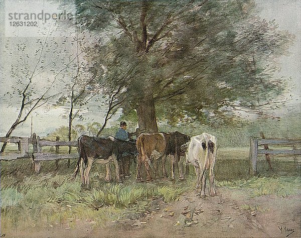 Melkzeit  um 1858-1888  (1906-7). Künstler: Anton Mauve