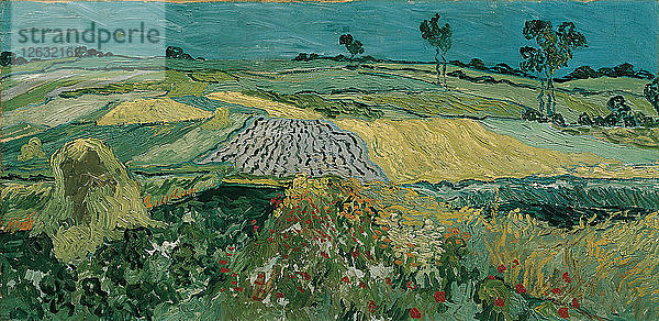 Die Ebene von Auvers  1890. Künstler: Gogh  Vincent  van (1853-1890)