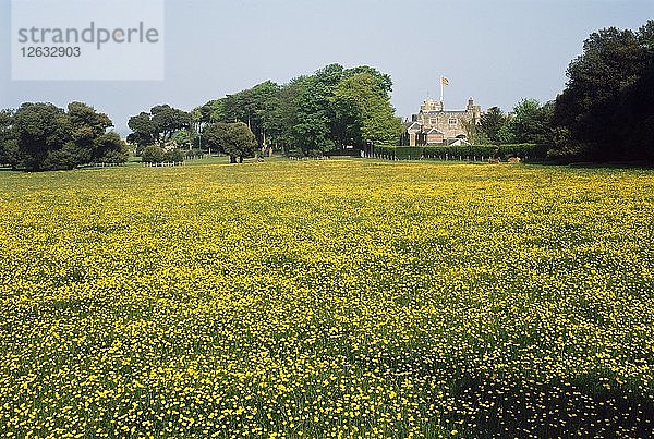 Walmer Castle Meadow  Kent  ca. 2000er Jahre(?). Künstler: Historic England Stabsfotograf.